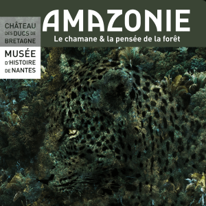 L'exposition "Amazonie, le chamane et les pensées de la forêt"