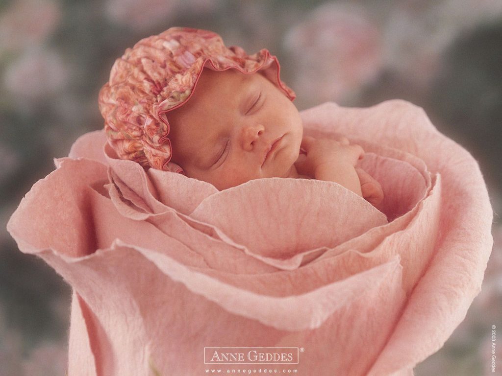 Portrait de Anne Geddes, la photographe des nouveau-nés