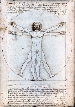 Les œuvres de Léonard de Vinci : L'Homme de Vitruve