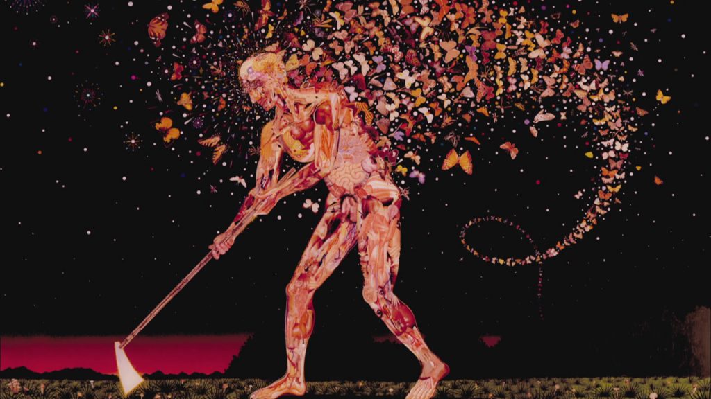 Fred Tomaselli