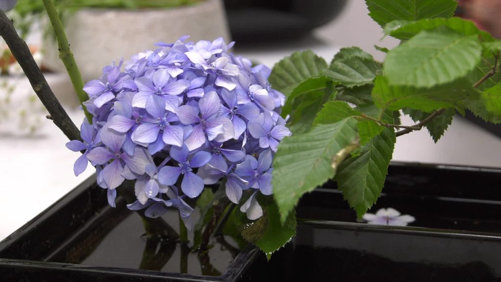 Traditional Japanese floral art