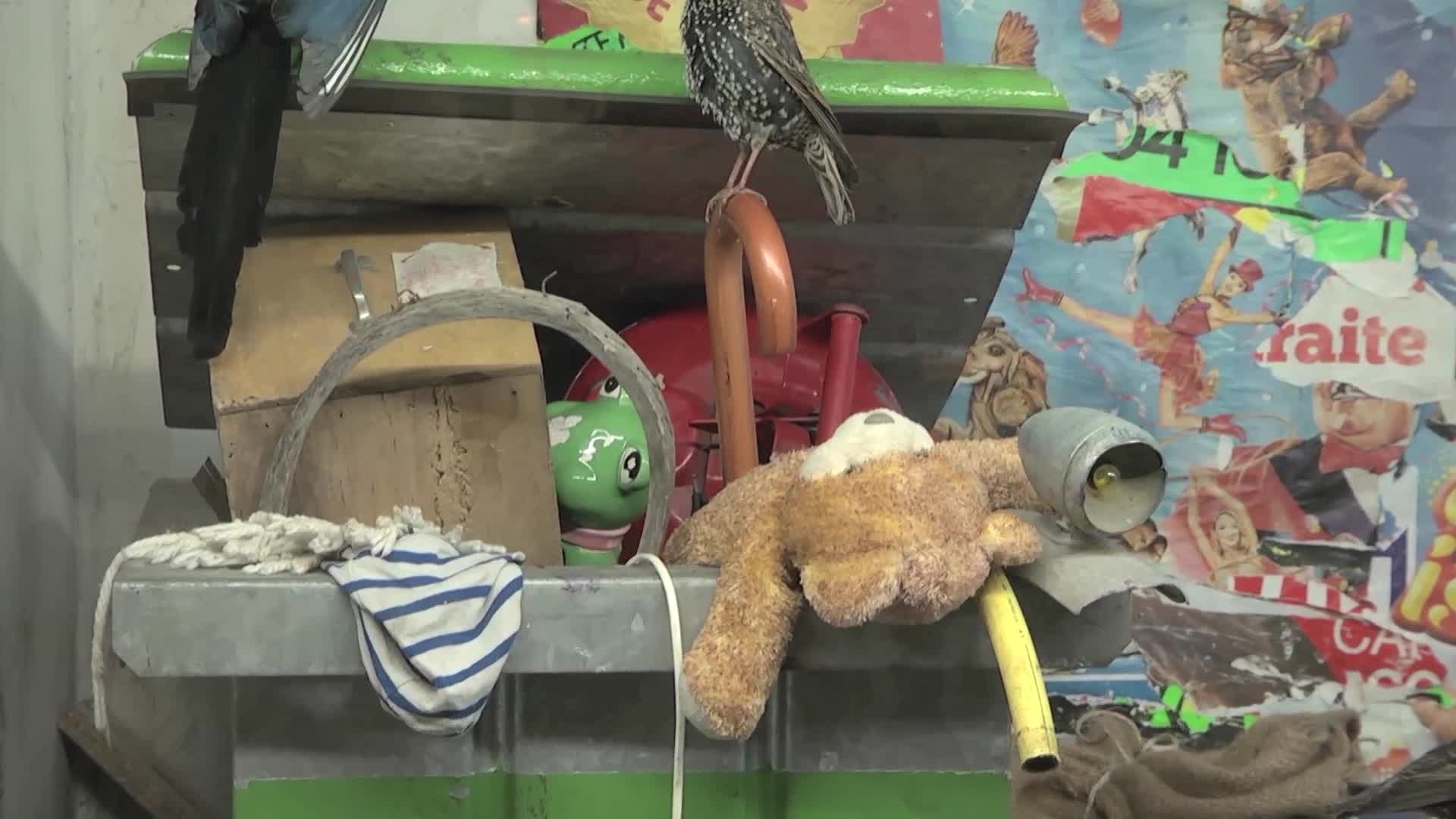 Diorama et critique sociale