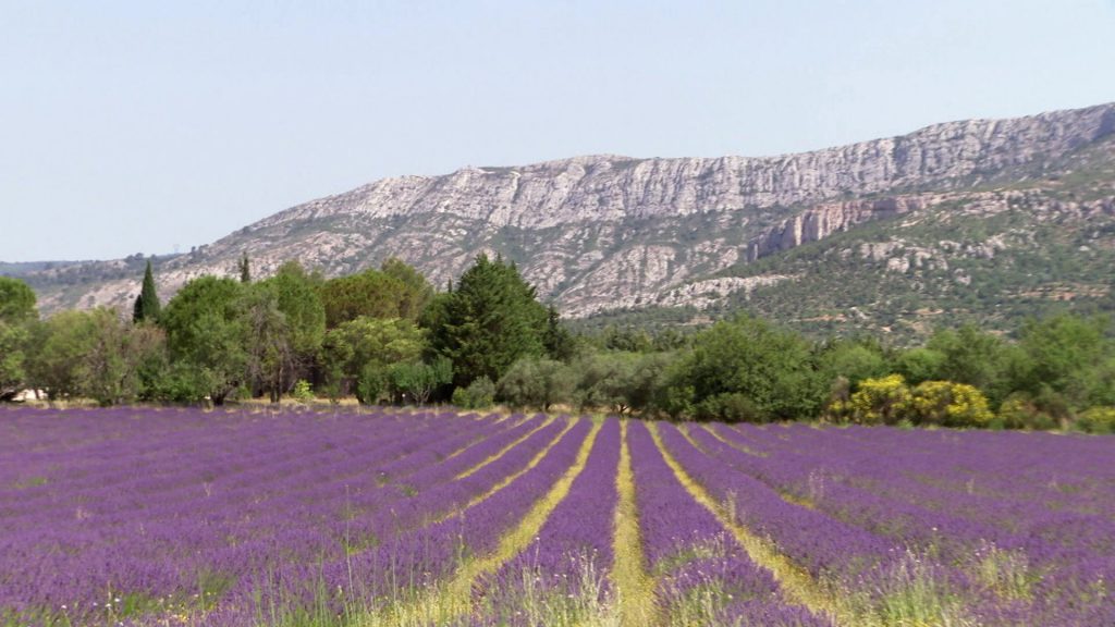 Cezanne and the Sainte Victoire