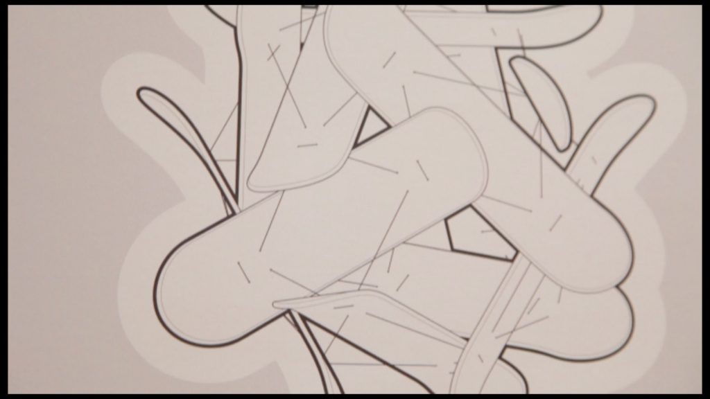 OZ projet Buckyflip