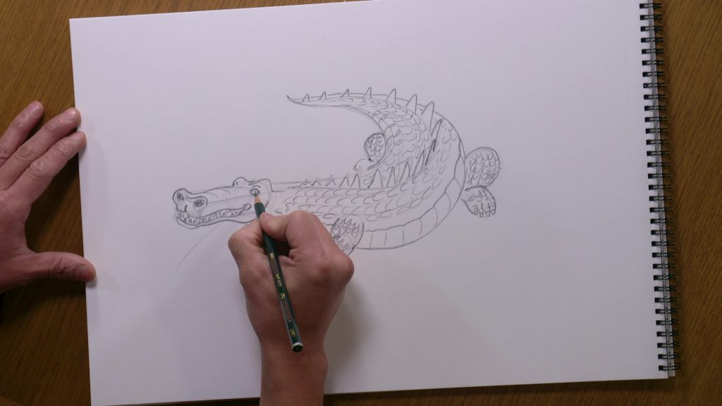 Dessiner un crocodile