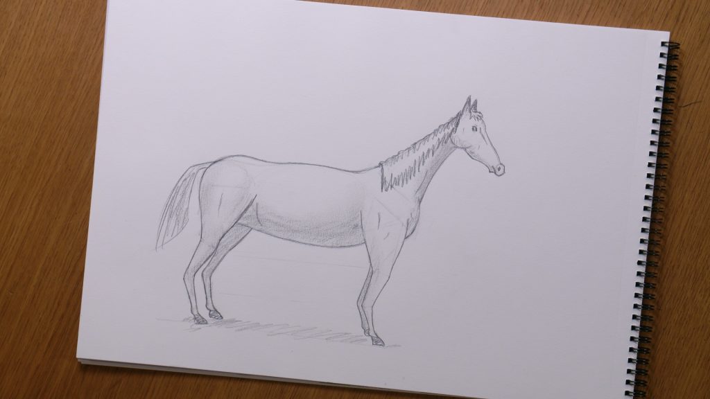 Horse