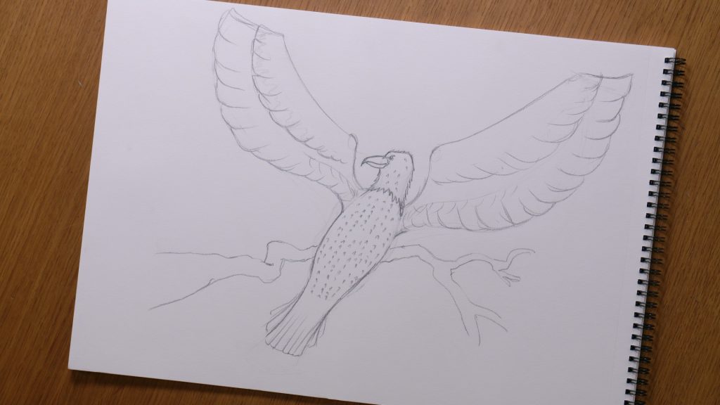 Dessiner un aigle