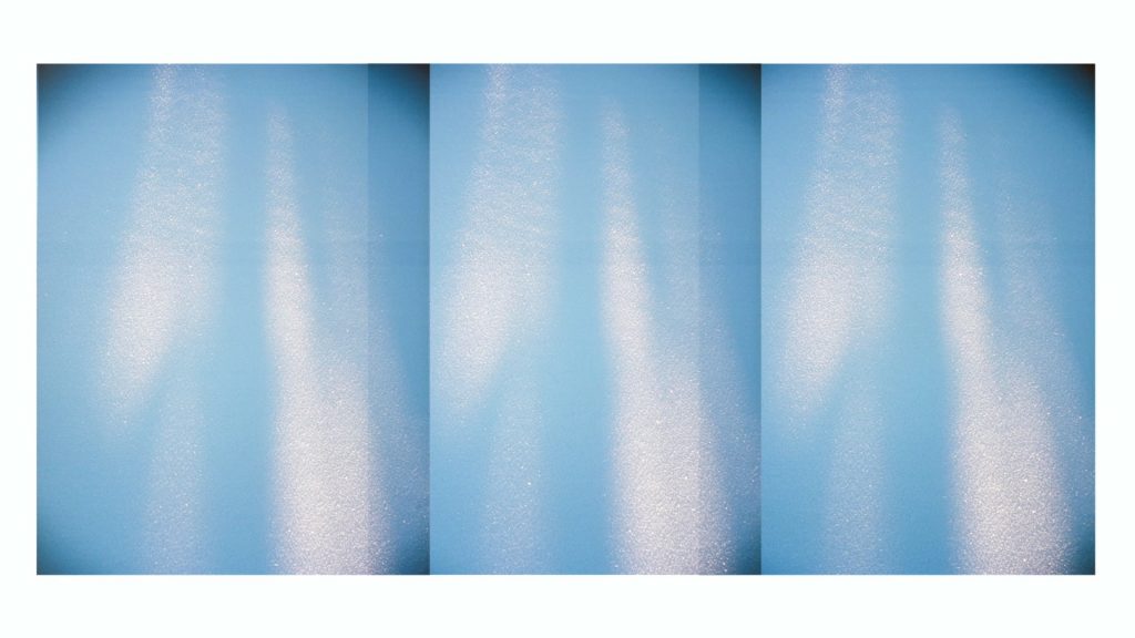 Philippe Durand - La créativité du vivant