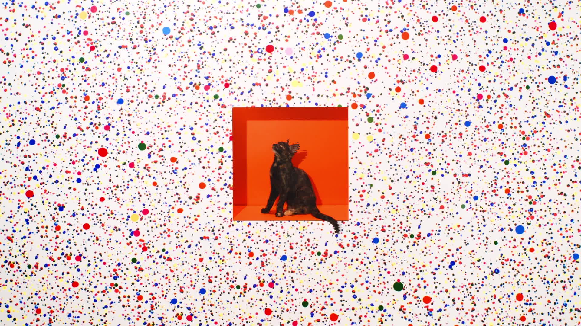 Video Art Box Museum TV