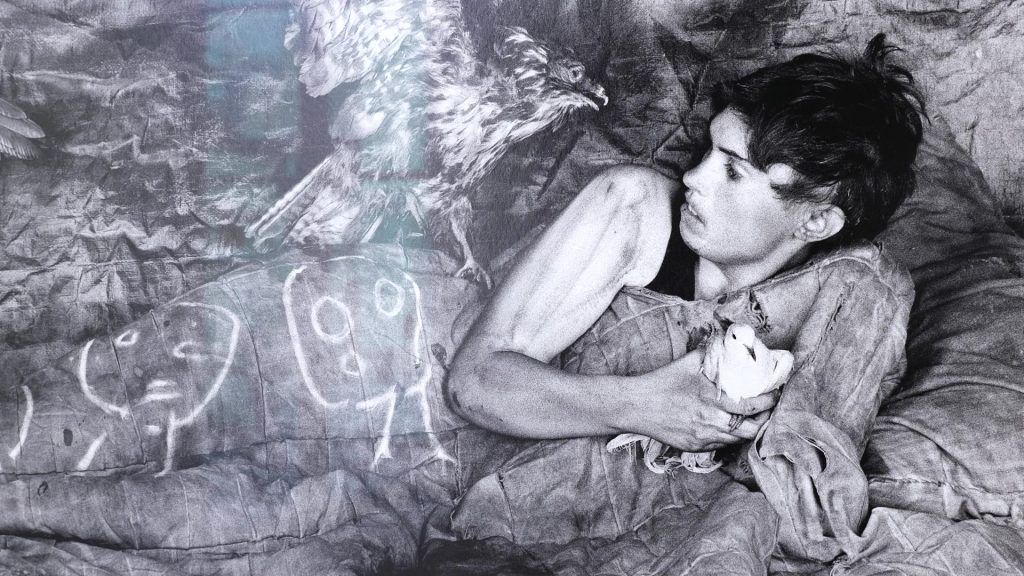 Galerie Caroline Smulders - "Threat" par Roger Ballen