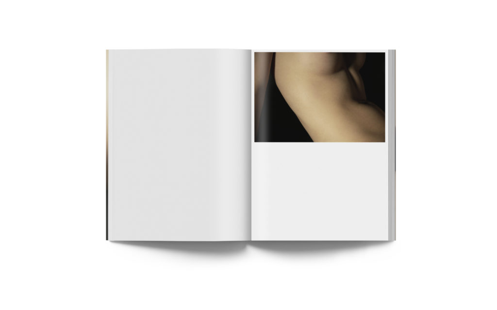 Intérieur du livre Digital Nudes de David Lynch 