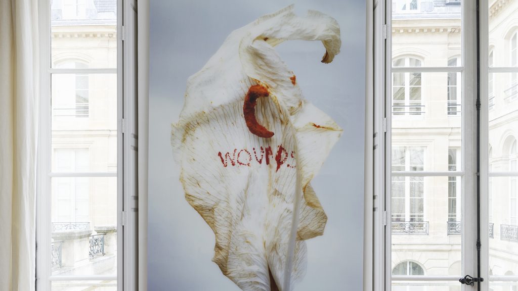 Galerie Mitterrand - "Wounds, série "Fragility" " par Anne et Patrick Poirier