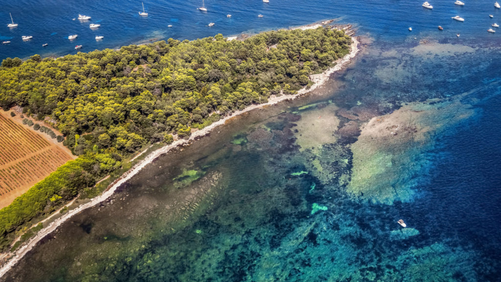 Découvrez l'écomusée sous-marin de Cannes