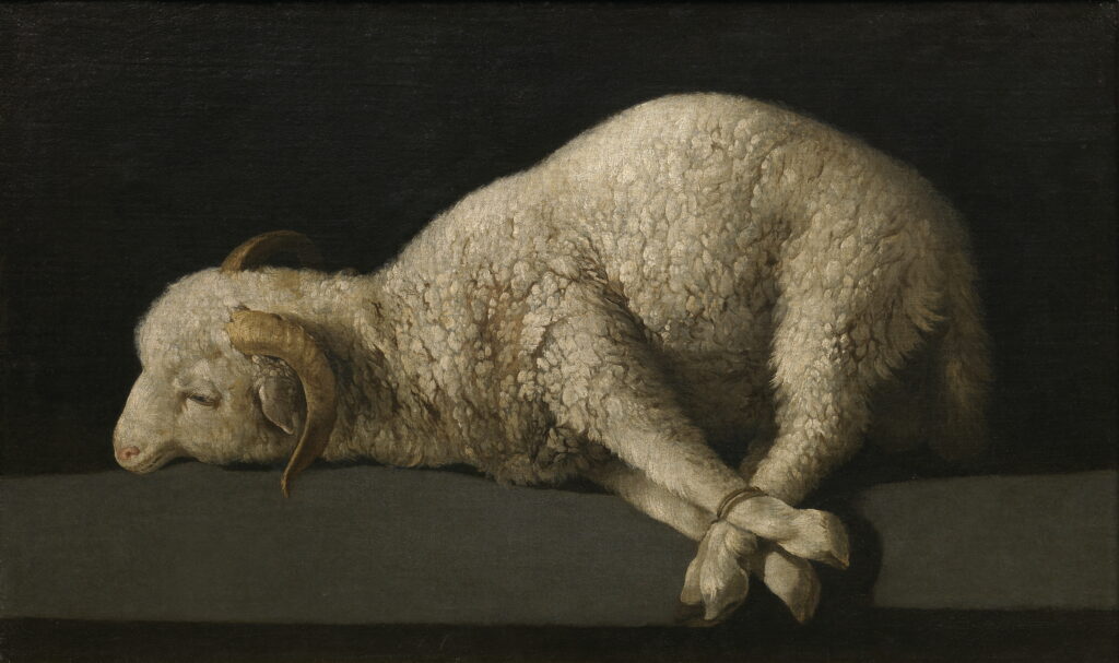 Agnus Dei - Francisco de Zurbarán 