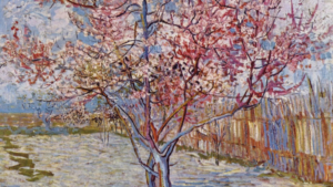 Van Gogh's flowering orchards