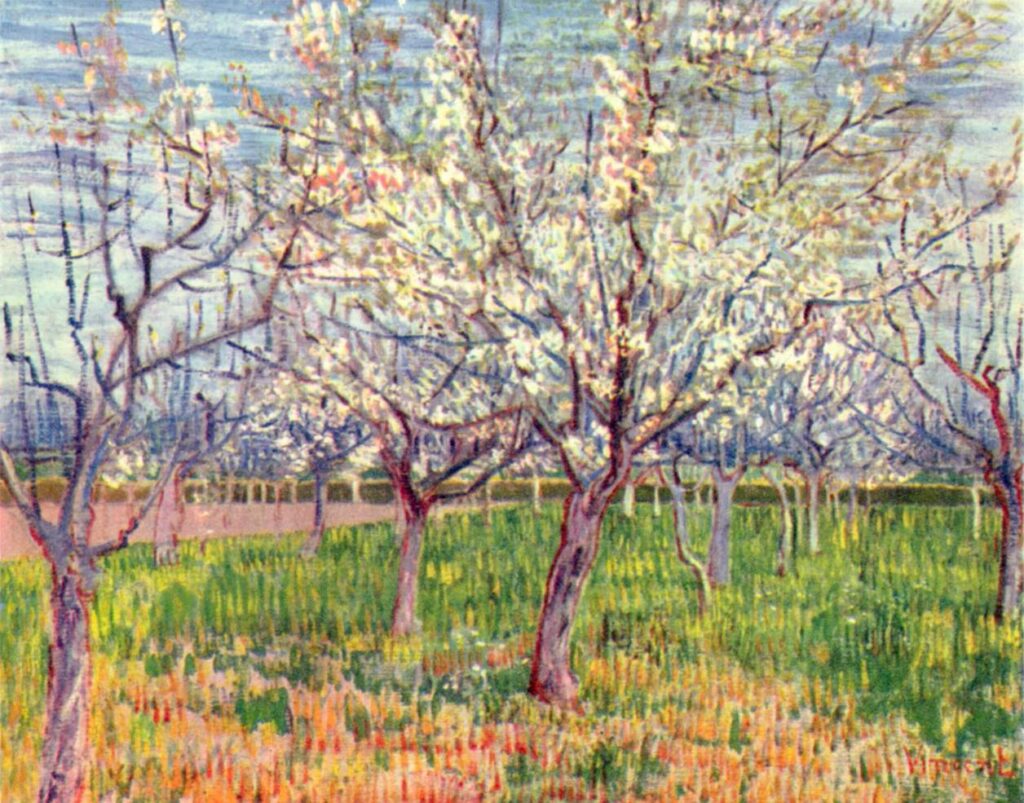 Verger fleurissant, 1888
64,5 × 80,5 cm
Musée Van Gogh