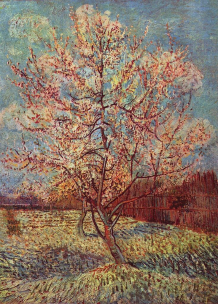 Pêcher en fleur, 1888
73 × 59,5 cm
Rijksmuseum