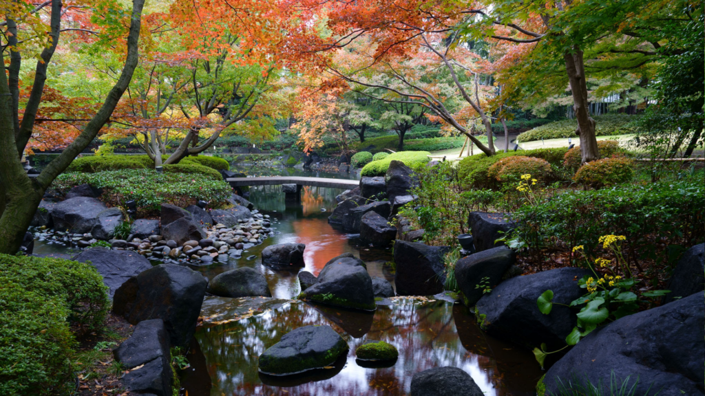 jardin japonais