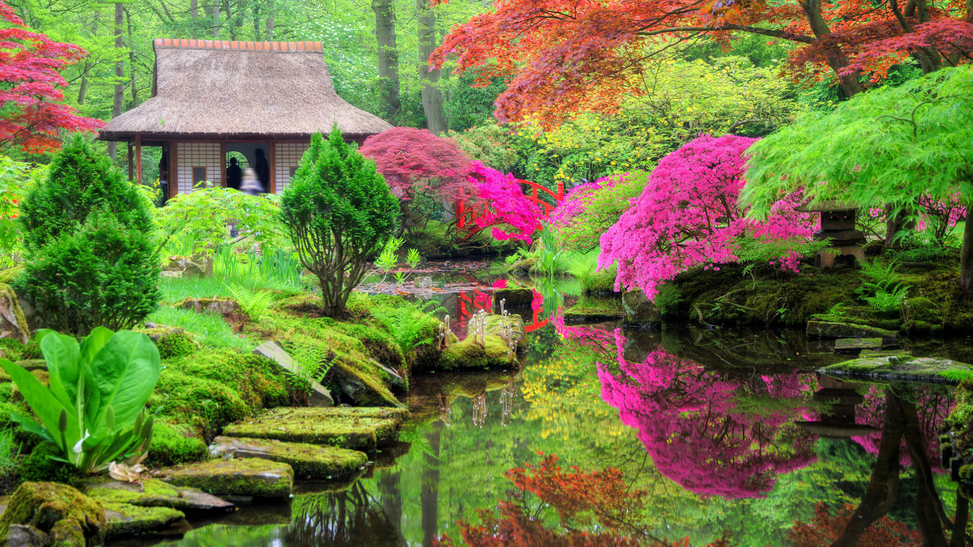 Le jardin japonais d'Amoena - La terre est un jardin