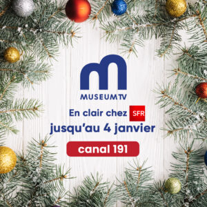 Mise en clair SFR Museum TV