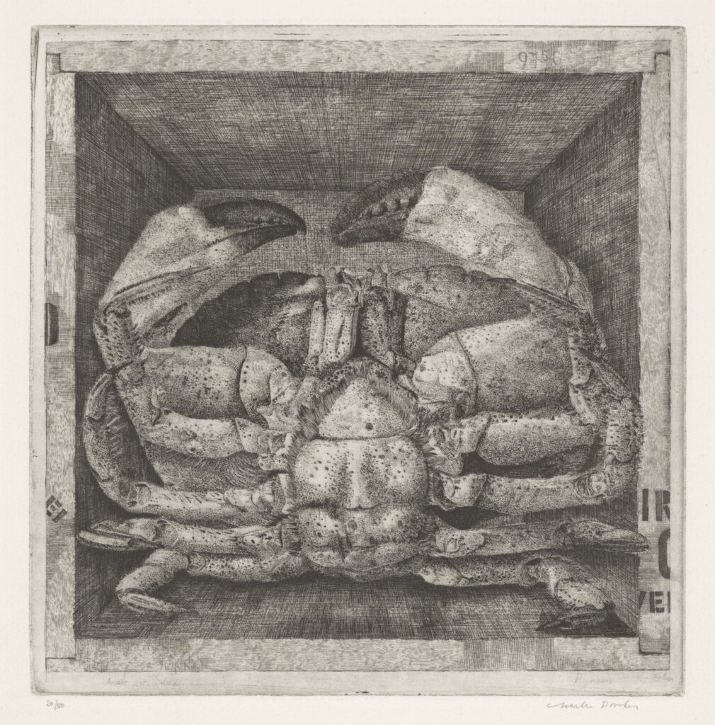 Crabe (« Cancer Pagurus ») dans une boîte