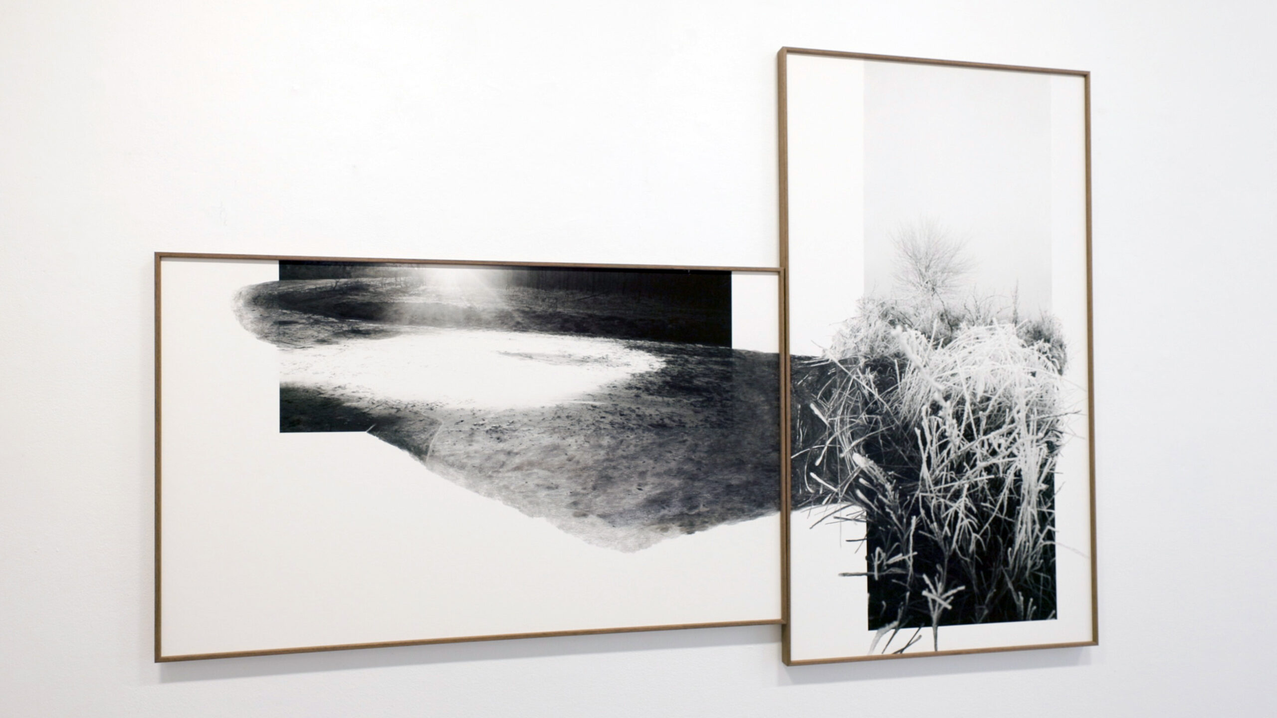 Putman Art gallery - "Strange Place for Sunrise" by Dana Cojbuc