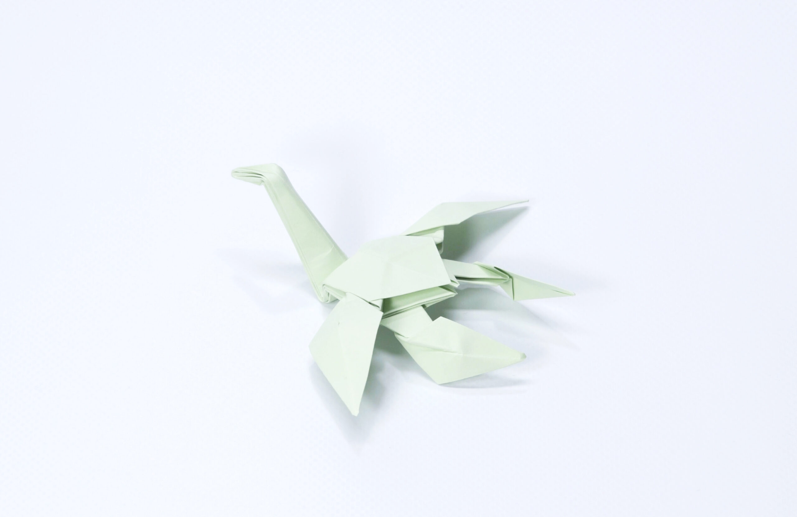 The Plyosaurus