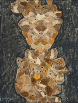 Collage d'ailes de papillons dorées et brun intitulé Le Strabique par Jean Dubuffet