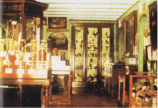 Vue d'une salle où on aperçoit les collections du musée Alexandre-Franconie 