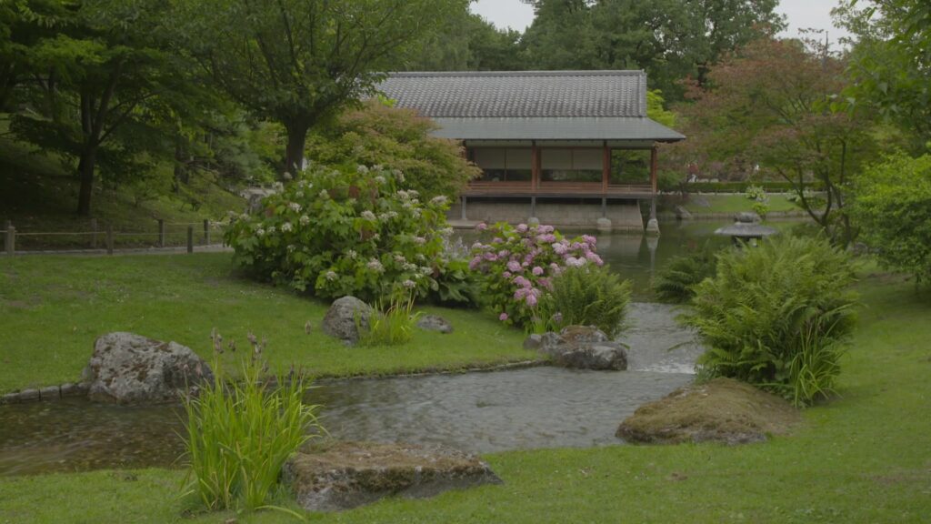 japanese garden