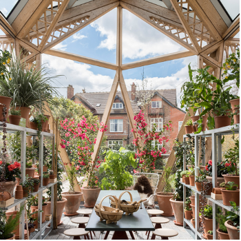 Vu sur Maggie’s Centre, Manchester. On aperçoit une géode construite en bois et vert accueillant une végétation luxuriante