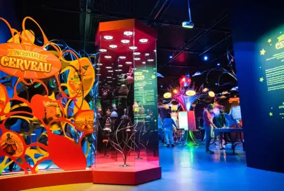 Vue de l'exposition Incroyable Cerveau - Crédit : Sylvain Lefebvre 
