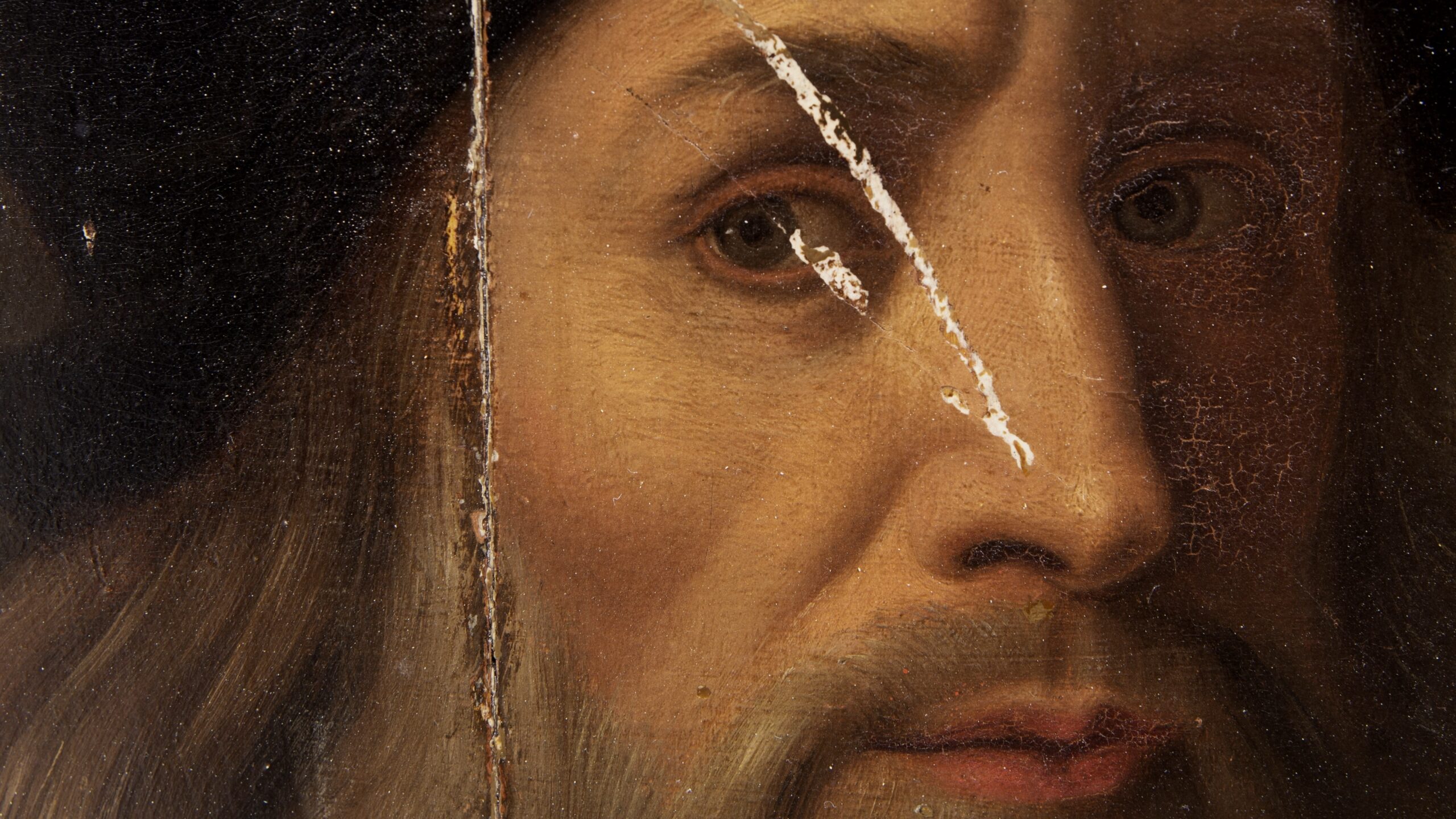 Leonard de Vinci - le portrait retrouvé