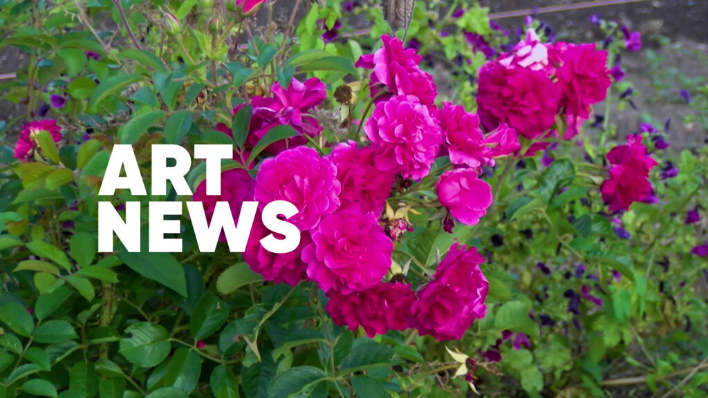 Le WMF 2025 à Versailles - le Potager du Roi