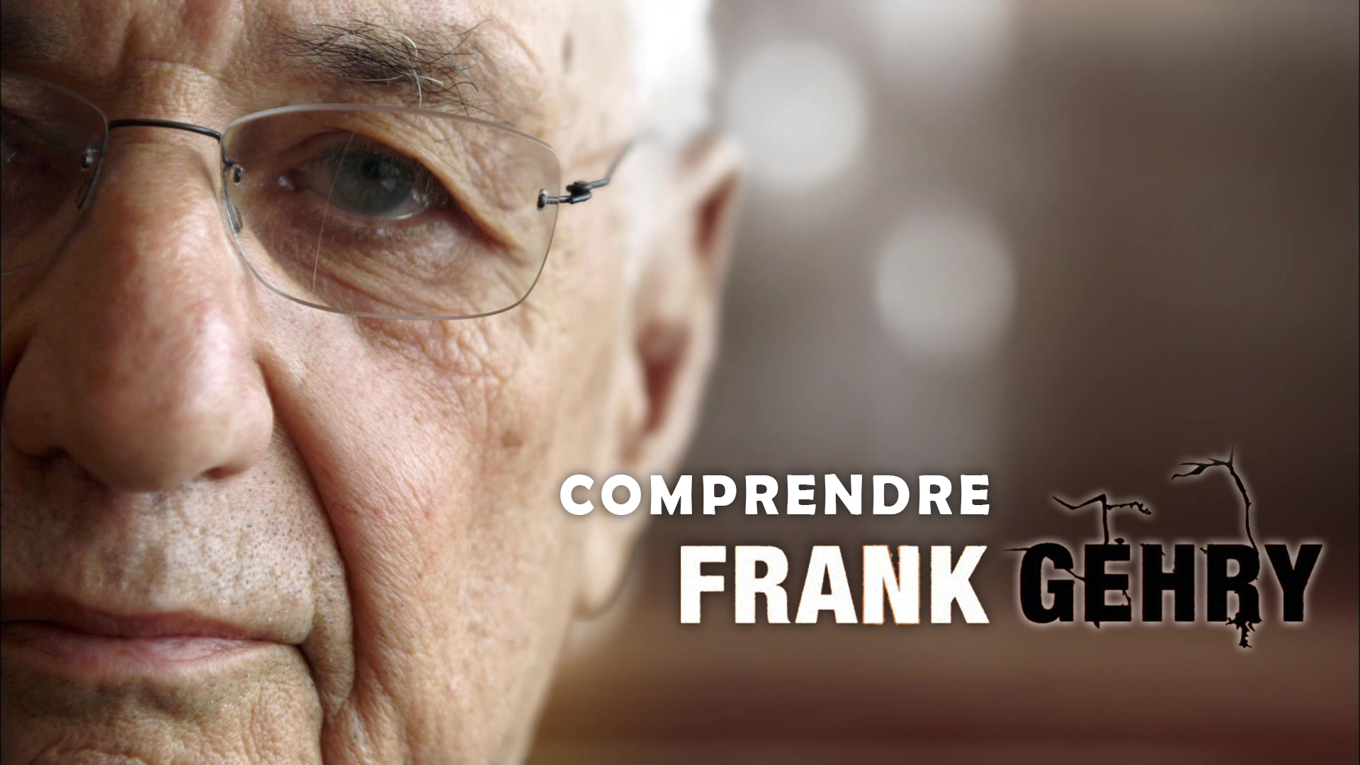 Comprendre Frank Gehry