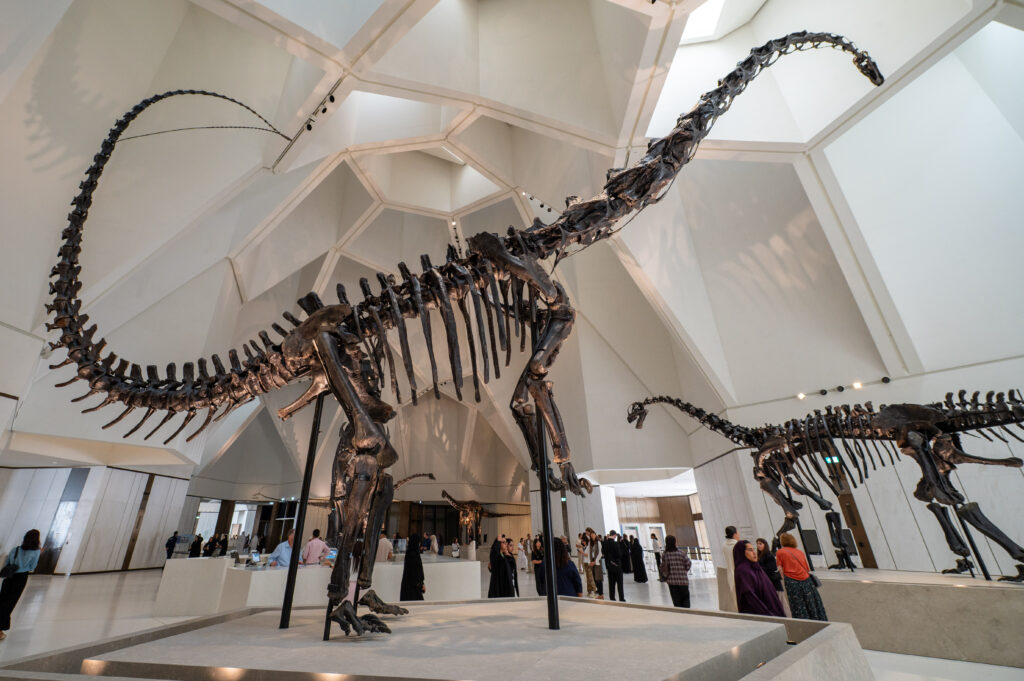Dinosaur skeleton, Natural History Museum, Abu Dhabi
