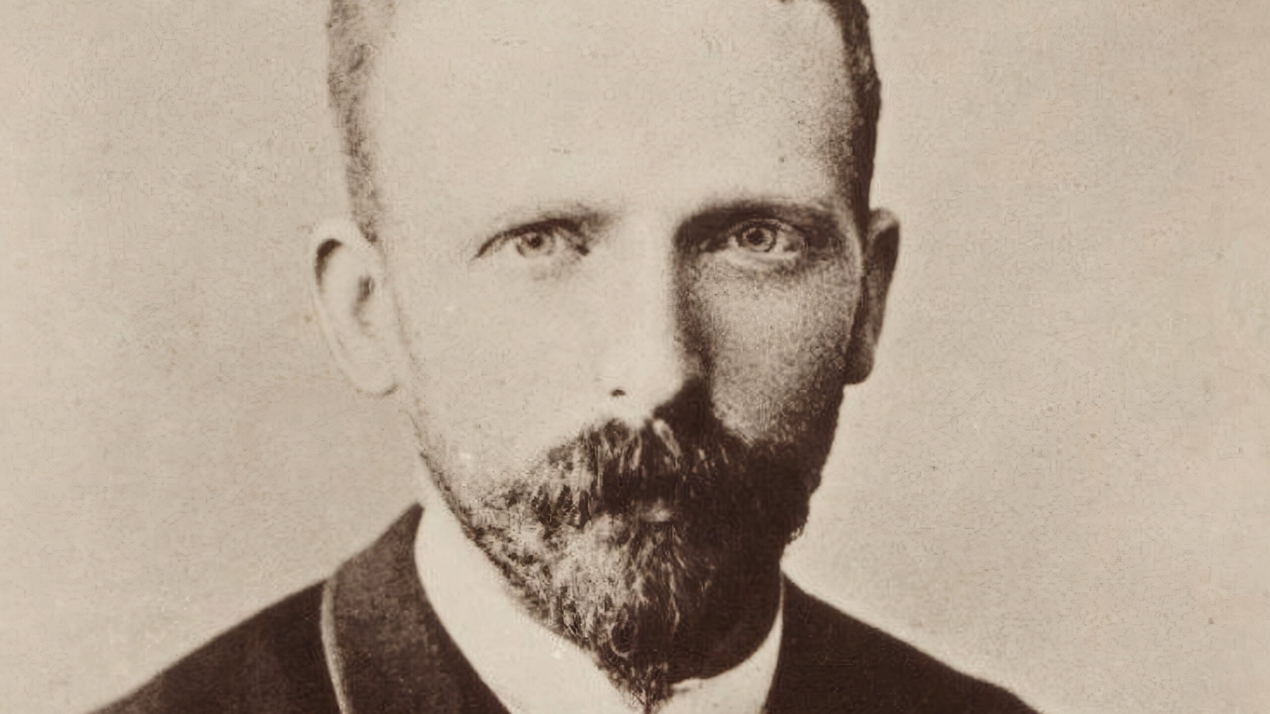 Maître Hollandais (En Devenir)