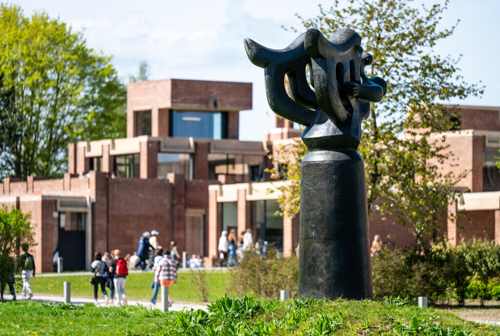 Reopening of the LaM: a transformed museum