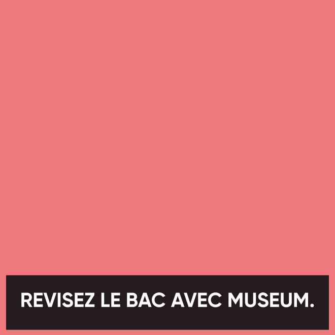 Pour le bac, révisons nos classiques / Ou pas.