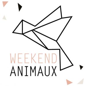 WEEKEND SPÉCIAL ART ET ANIMAUX