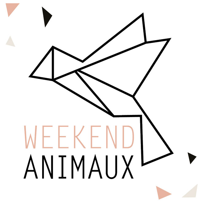 WEEKEND SPÉCIAL ART ET ANIMAUX