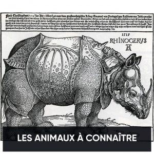 Les animaux célèbres de l'histoire de l'Art