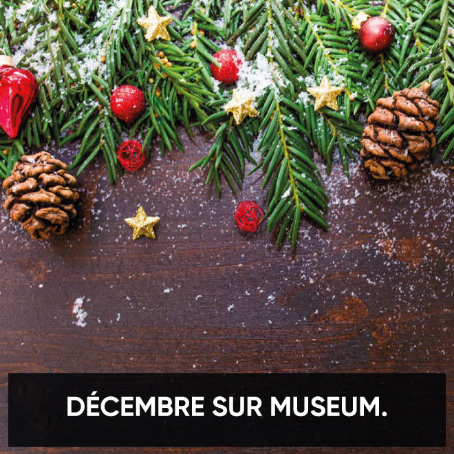 Décembre sur Museum