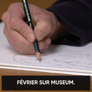 Février sur Museum