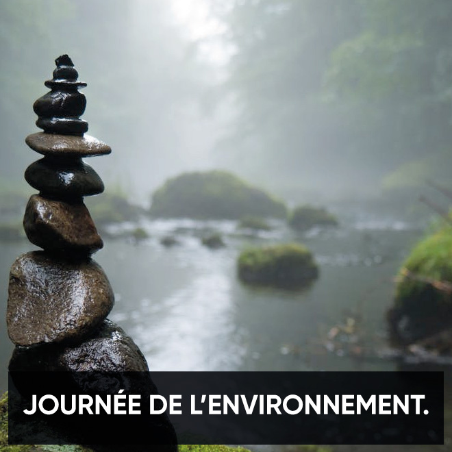 La journée de l’environnement !