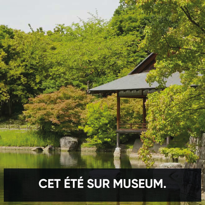 Cet été sur Museum