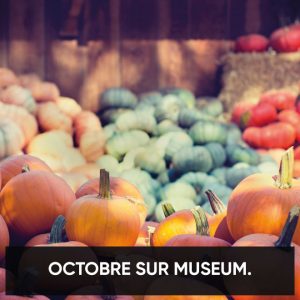 LE MOIS D'OCTOBRE SUR MUSEUM !