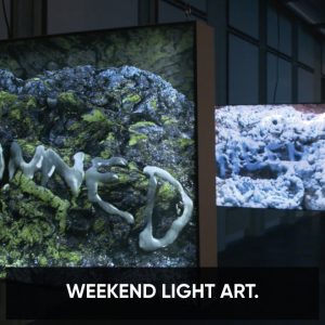 Éteignez la lumière, le weekend Light Art va démarrer.