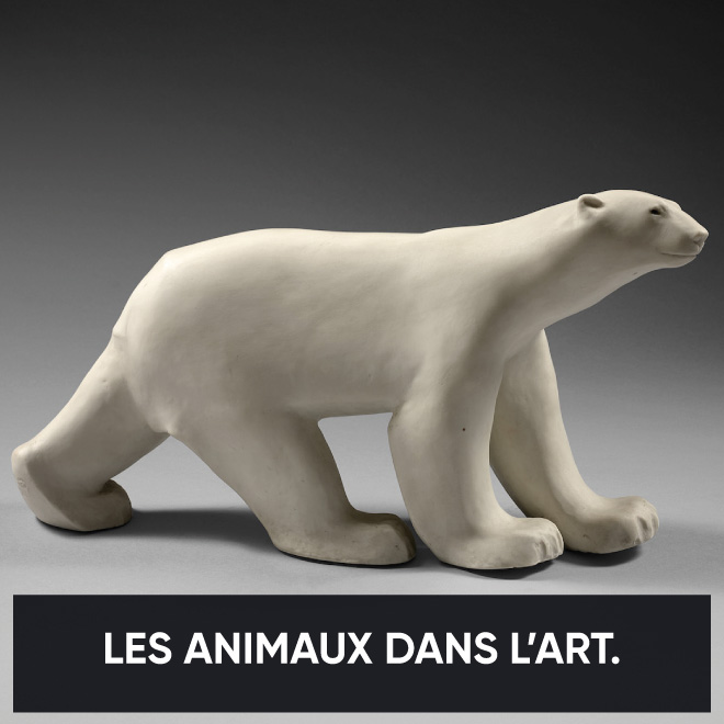 Nos amis les bêtes sur Museum pour la Journée Internationale des Droits des Animaux !