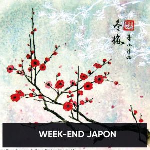 Ce week-end, décollez pour le Japon avec Museum !